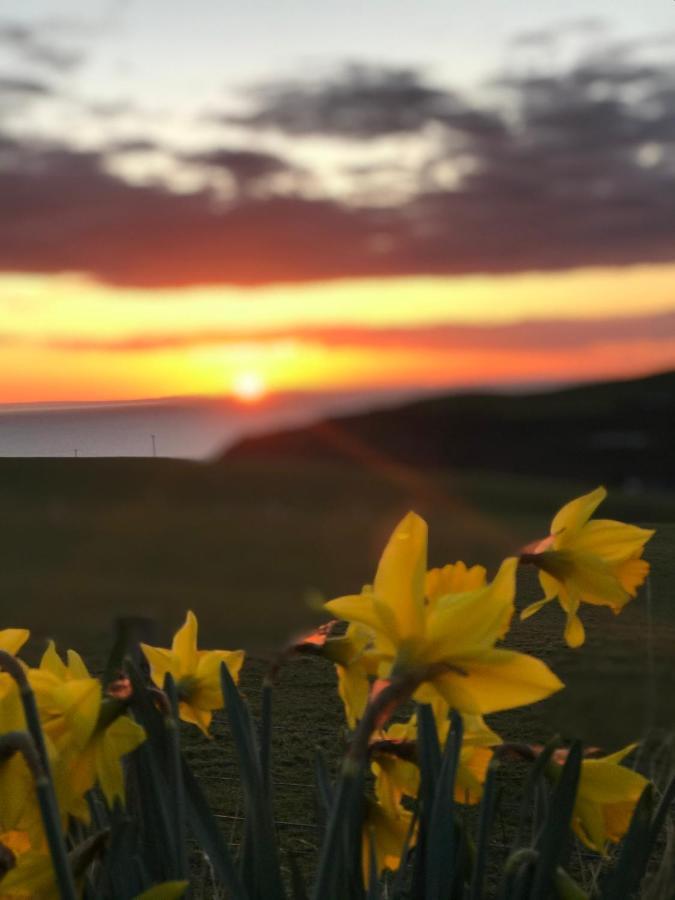 Bunnahabhain 5 - Farm Stay - Stunning sea&rural views Stranraer Bagian luar foto