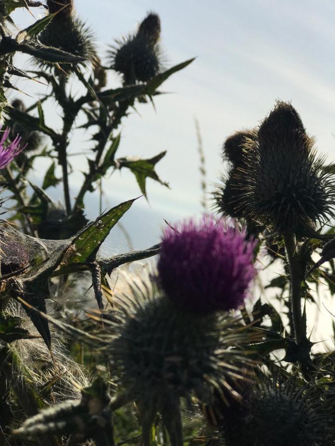 Bunnahabhain 5 - Farm Stay - Stunning sea&rural views Stranraer Bagian luar foto
