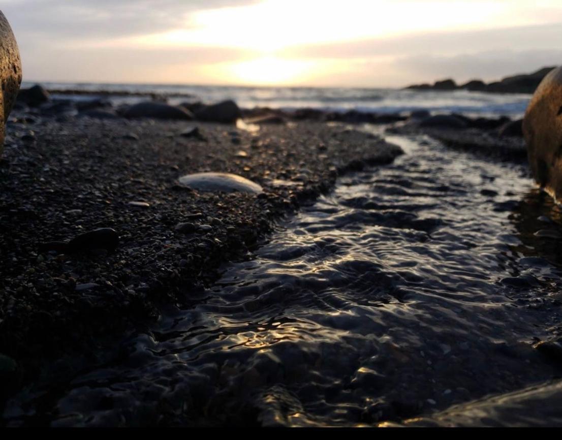 Bunnahabhain 5 - Farm Stay - Stunning sea&rural views Stranraer Bagian luar foto