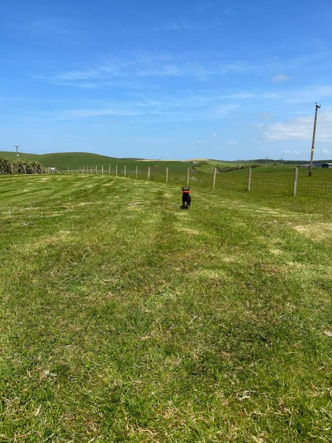 Bunnahabhain 5 - Farm Stay - Stunning sea&rural views Stranraer Bagian luar foto